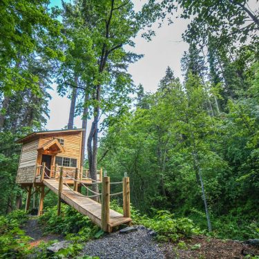 secluded cabin rentals washington