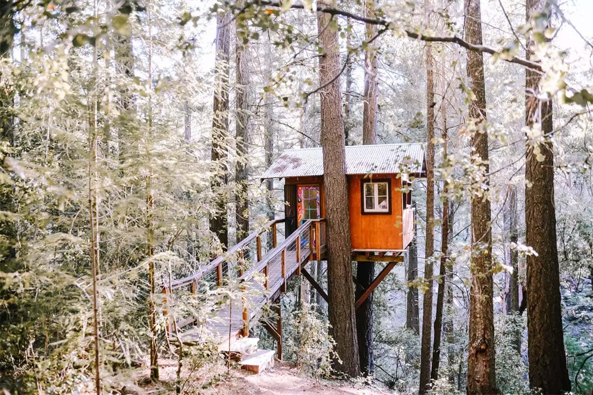 secluded treehouse california