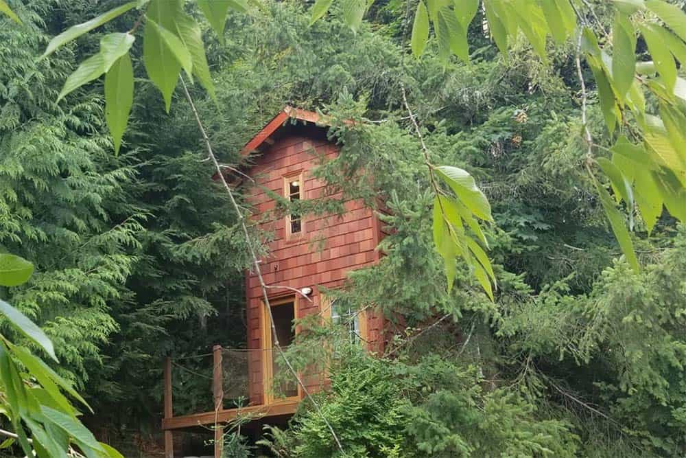 snohomish wa treehouse rental