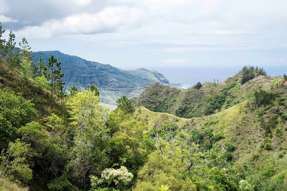 Kuaokala Trail Oahu