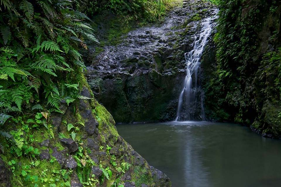 Maunawili Falls