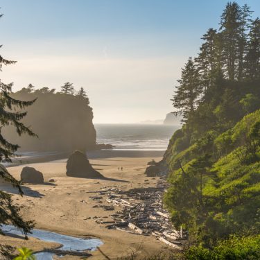 airbnb rentals near olympic national park