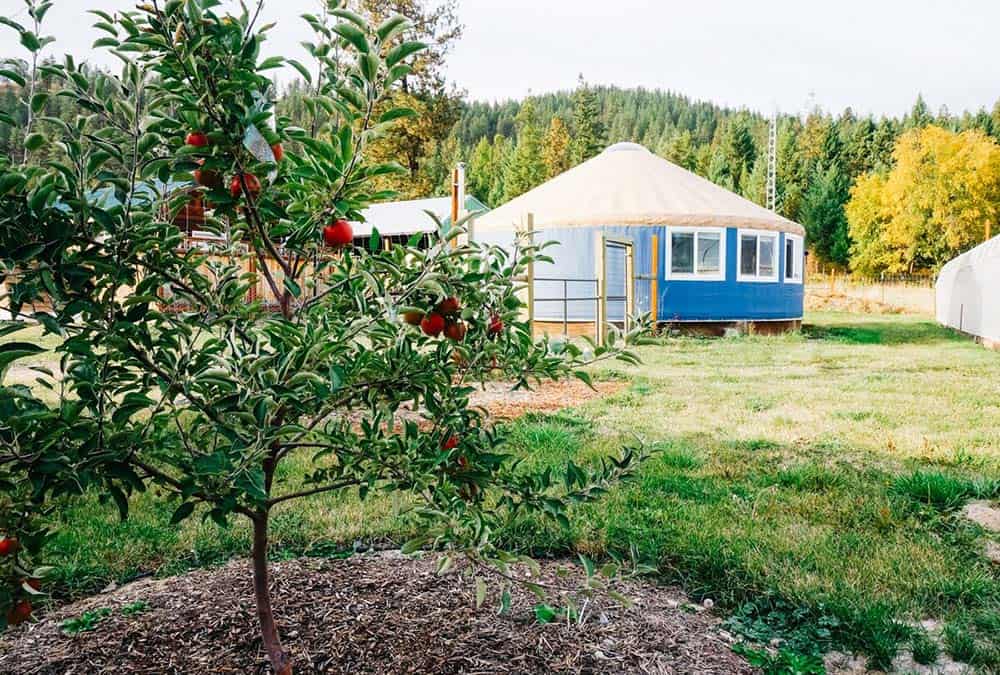 sustainable farm yurt oregon