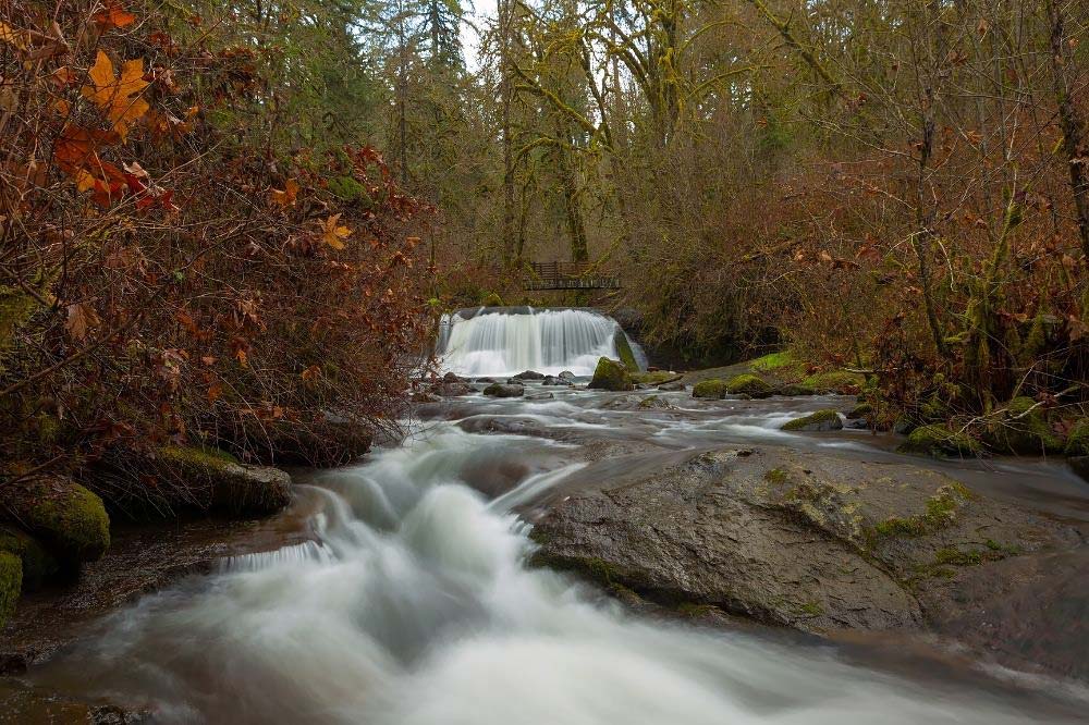 McDowell Creek Falls