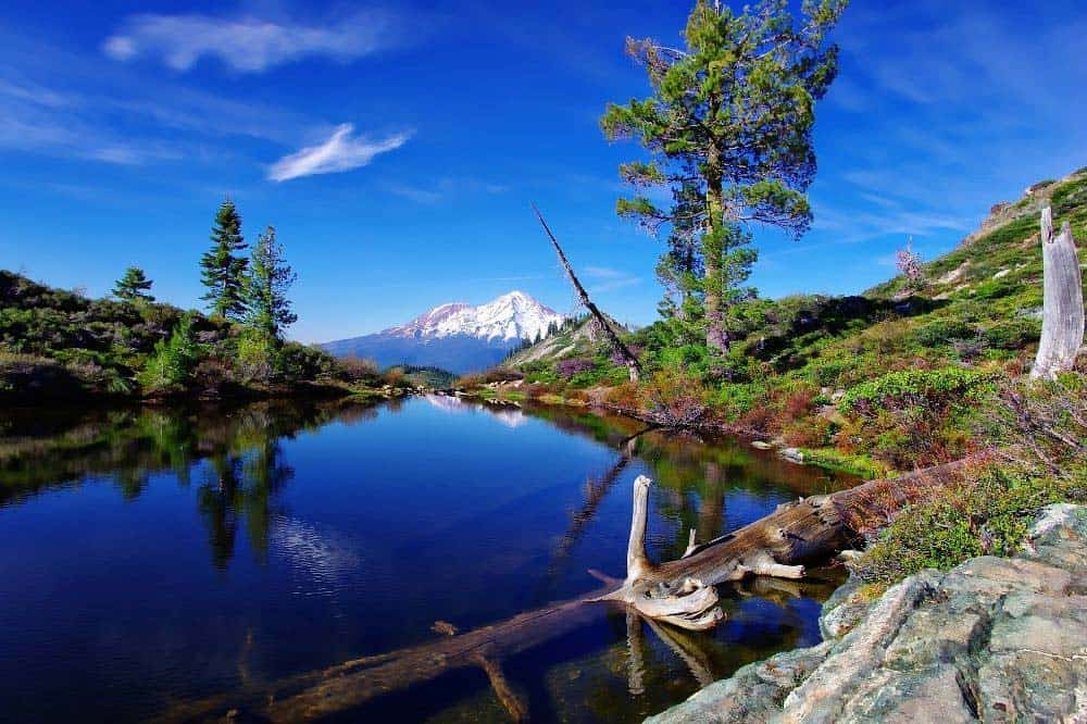 heart lake mt shasta