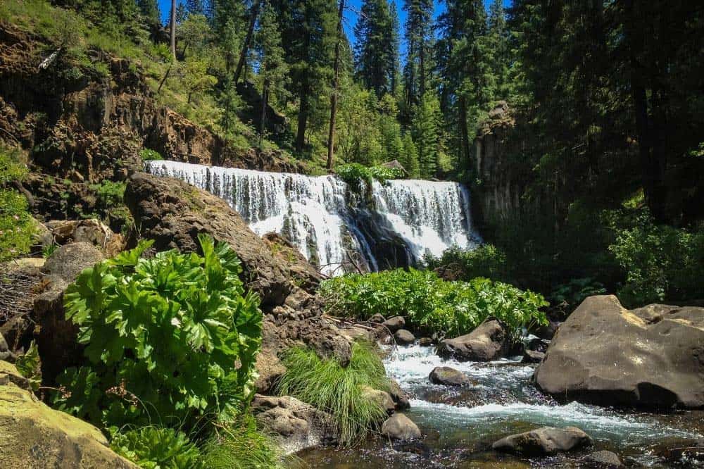 mccloud river falls mt shasta