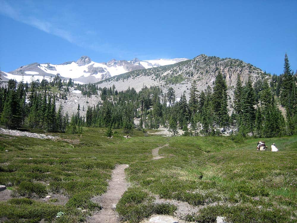 south gate meadows mount shasta