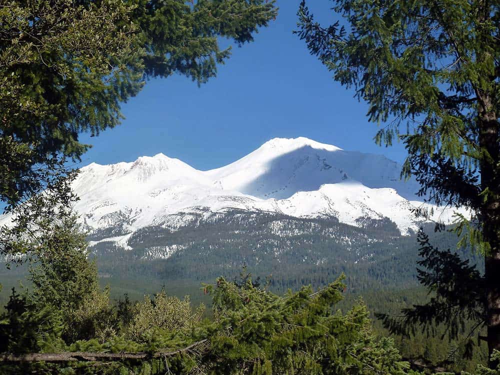 spring hill mount shasta