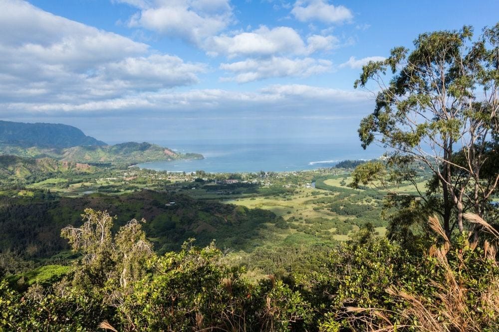 Okolehao Trail Kauai