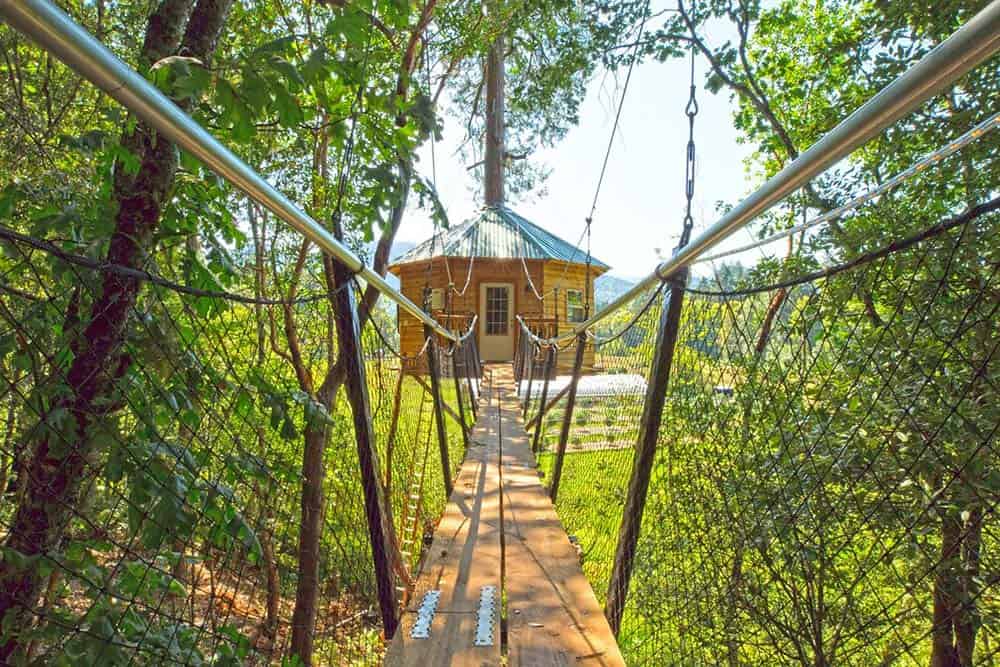 cannabis friendly treehouse oregon