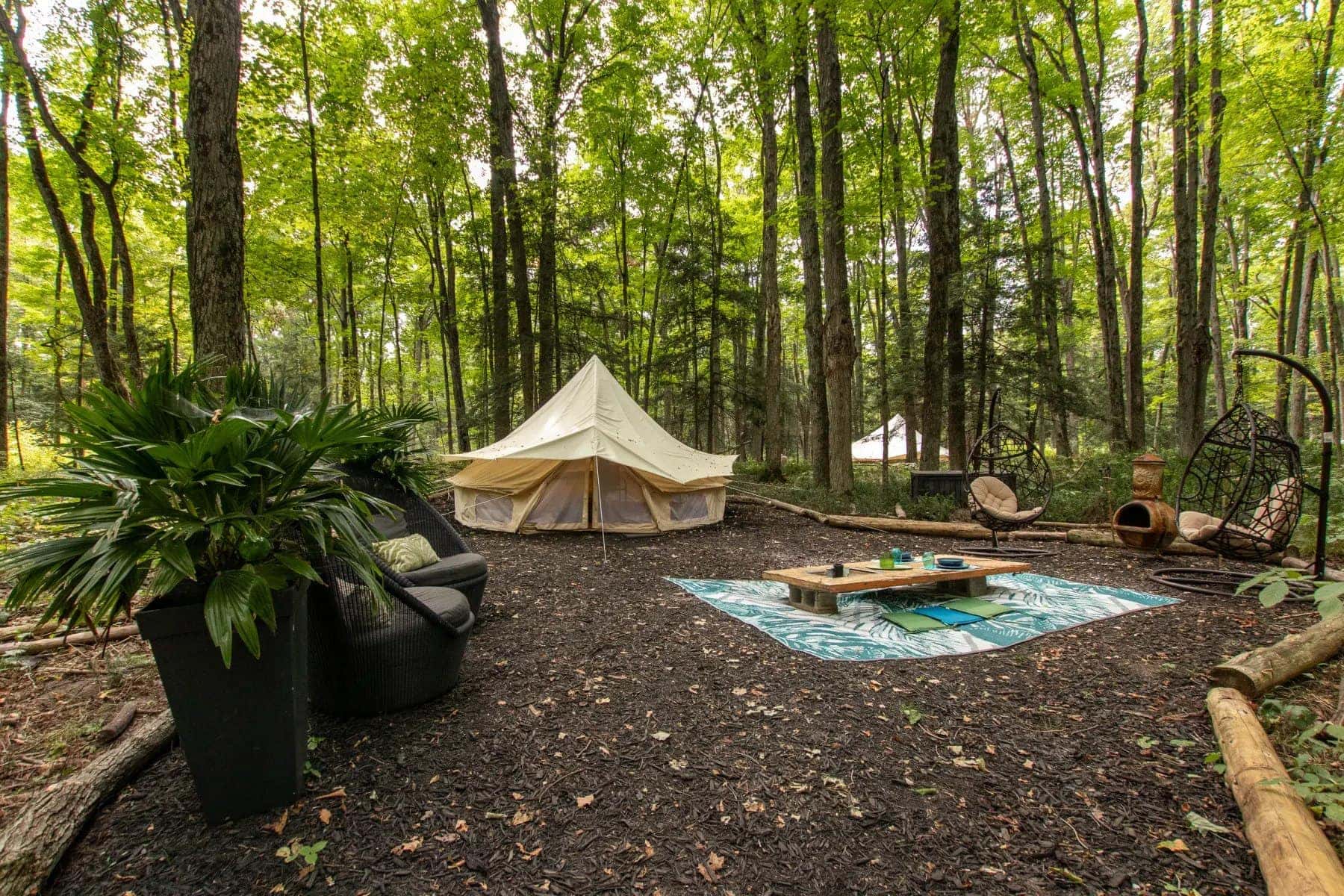 Taiga Cedar Tent