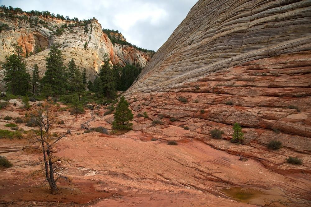 checkerboard mesa zion