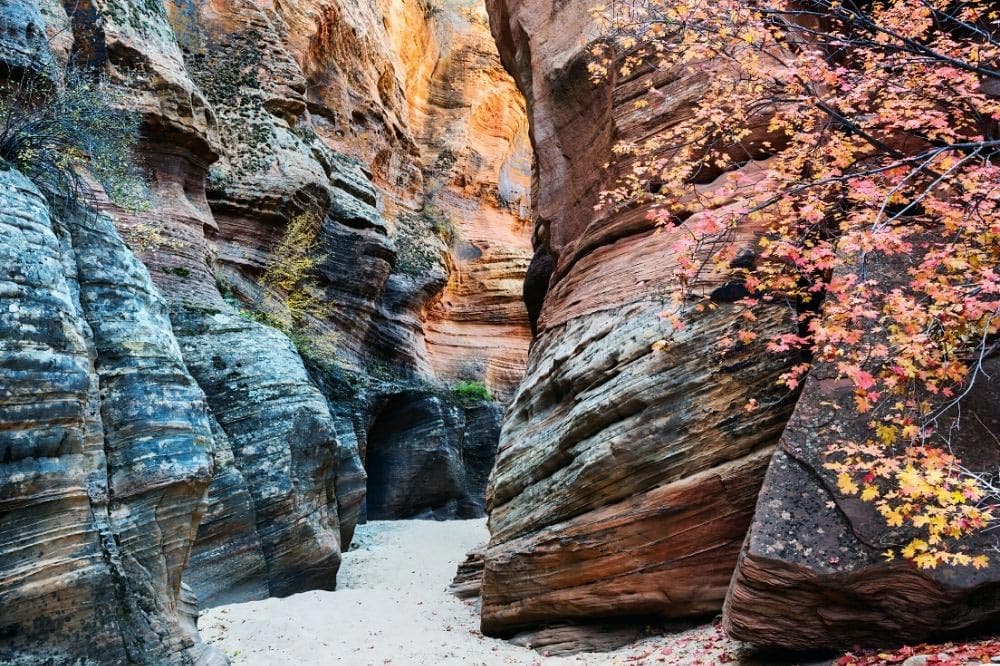 clear creek canyon zion