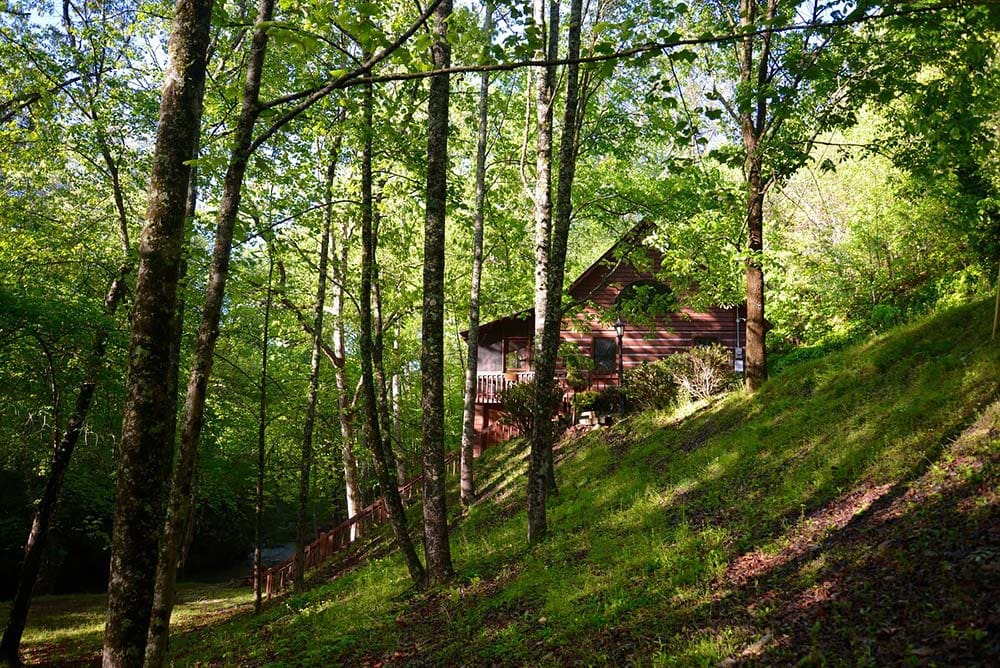 secluded georgia cabin woods