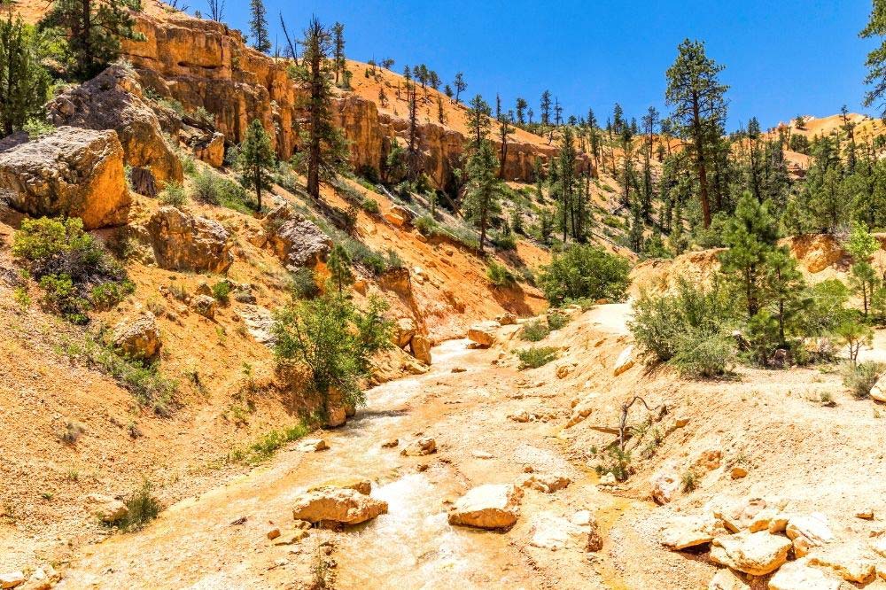 sheep creek bryce canyon