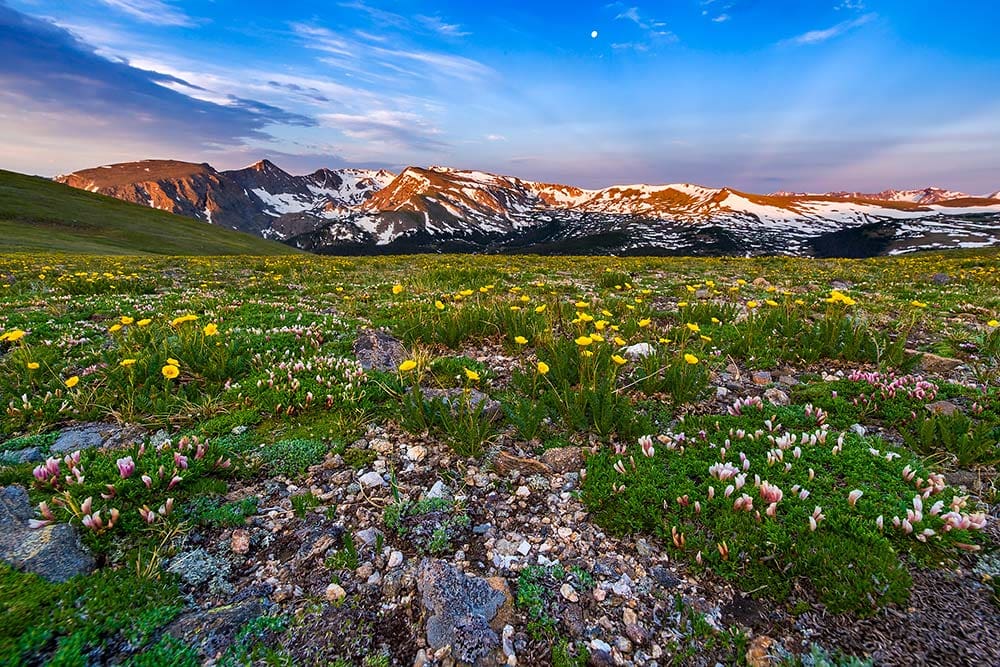 summer rocky mountain national park