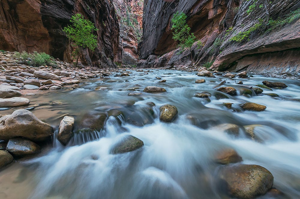 zion narrows hike