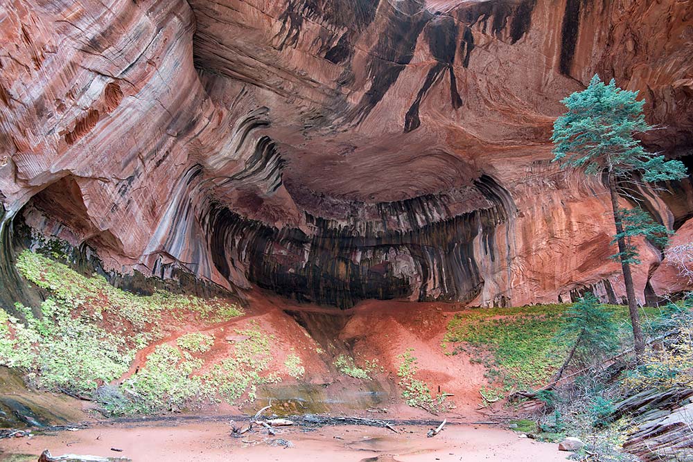 Middle Fork of Taylor Creek Zion