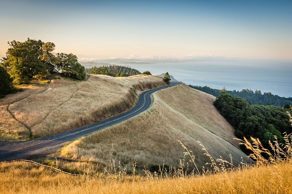 Mount Tamalpais day trip