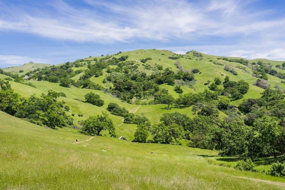 Sunol Regional Wilderness