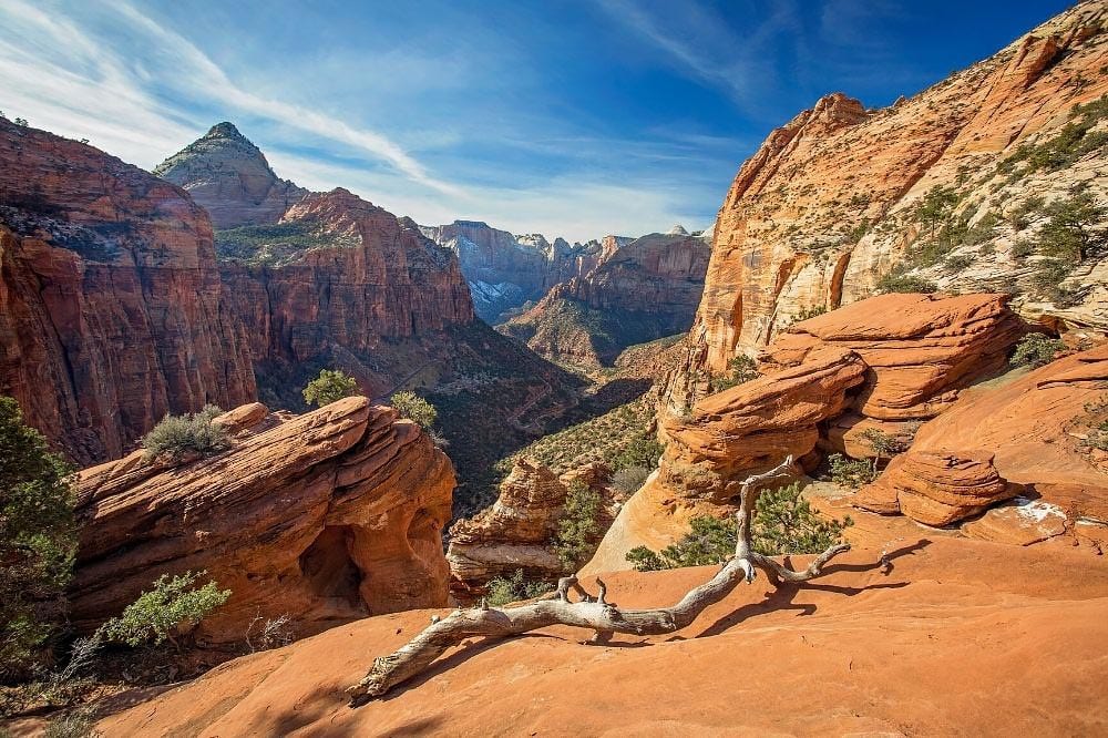 canyon overlook trail zion