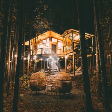 treehouse airbnb rentals