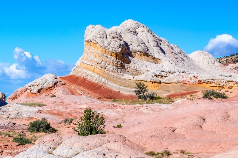 white pocket arizona