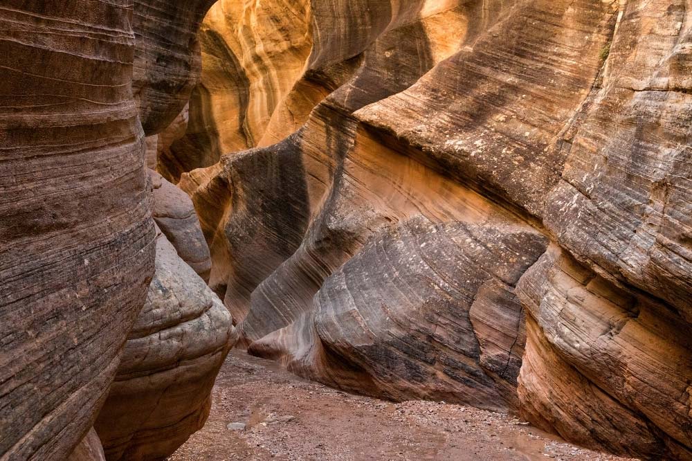 willis creek narrows utah