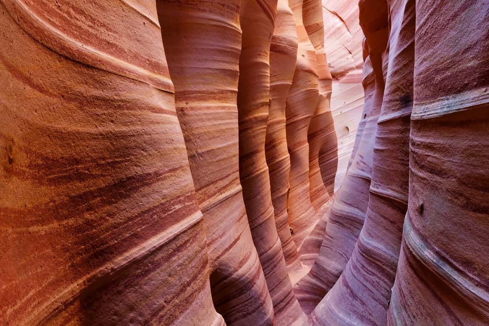 zebra slot canyon