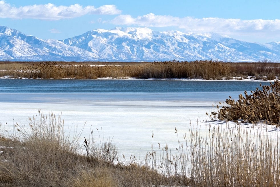 Bear River Migratory Bird Refuge