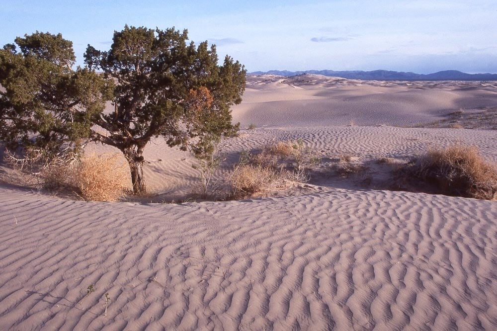 Little Sahara utah