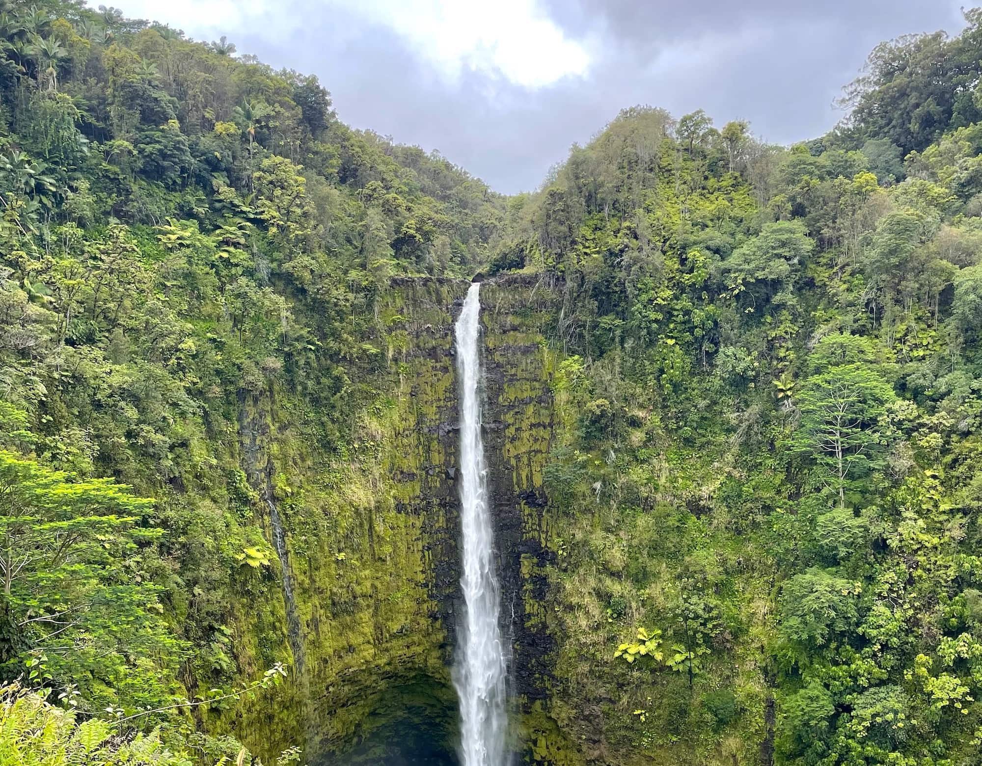 The majestic Akaka Falls on Hawaii's Big Island