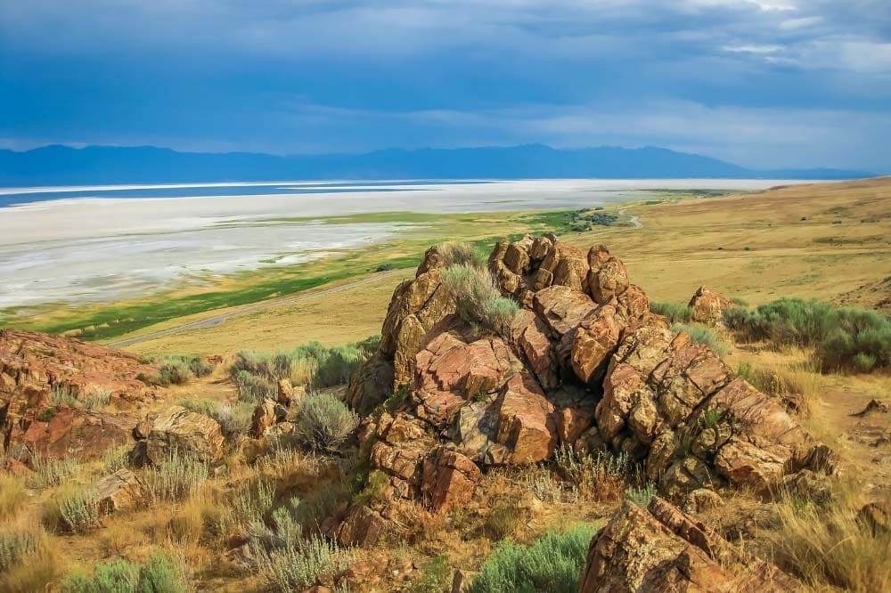 antelope island slc day trip