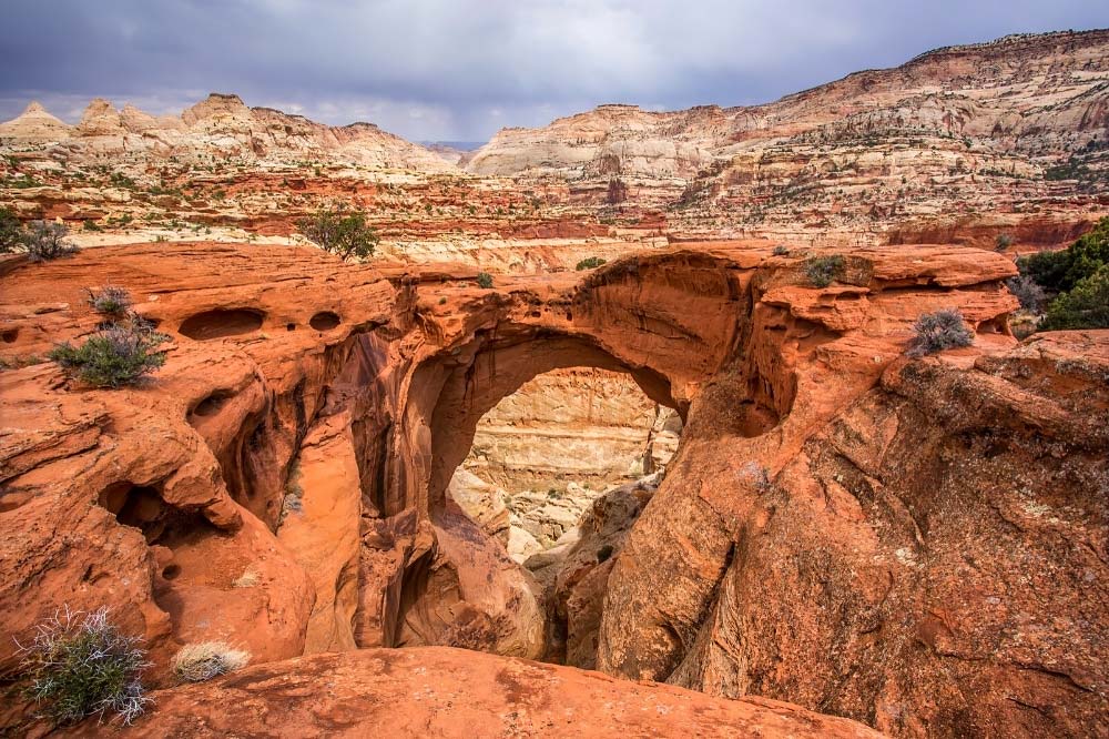 cassidy arch escalante