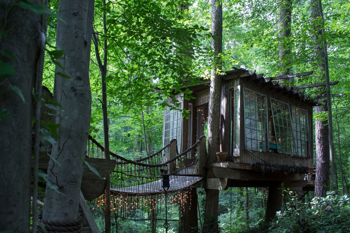 treehouse glamping georgia