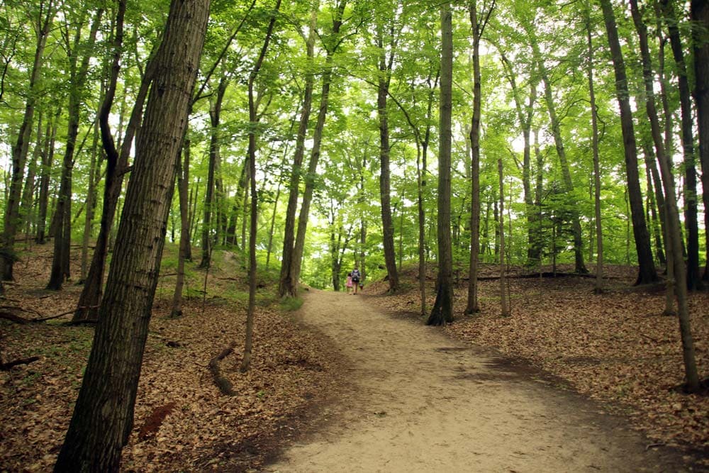 Saugatuck state park Michigan