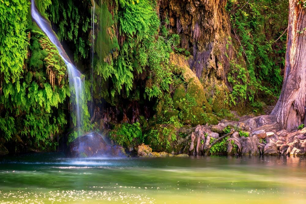 Krause Springs swimming hole Texas