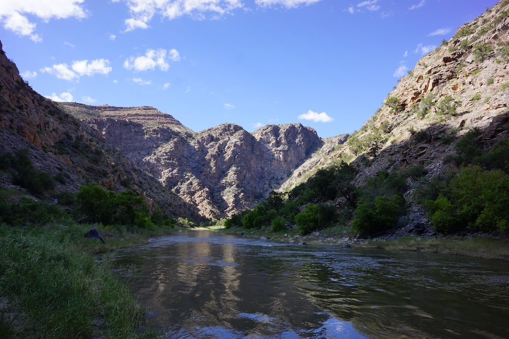 Colorado swimming big Dominguez canyon