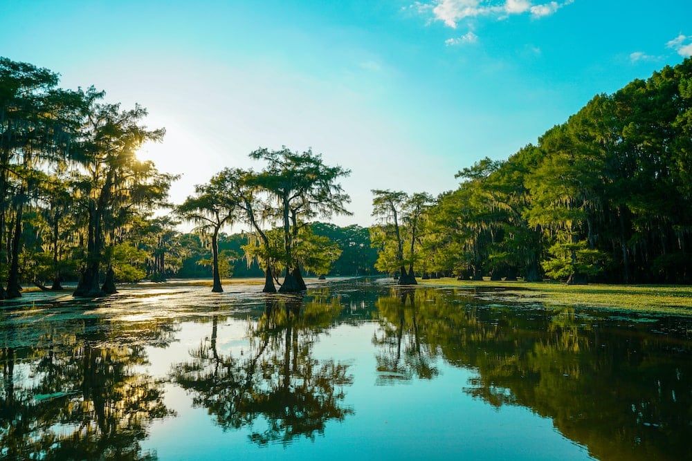 caddo lake state park Dallas road trip