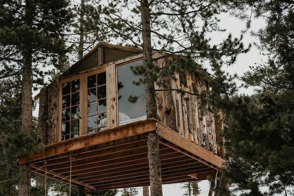 gold nugget Colorado treehouse