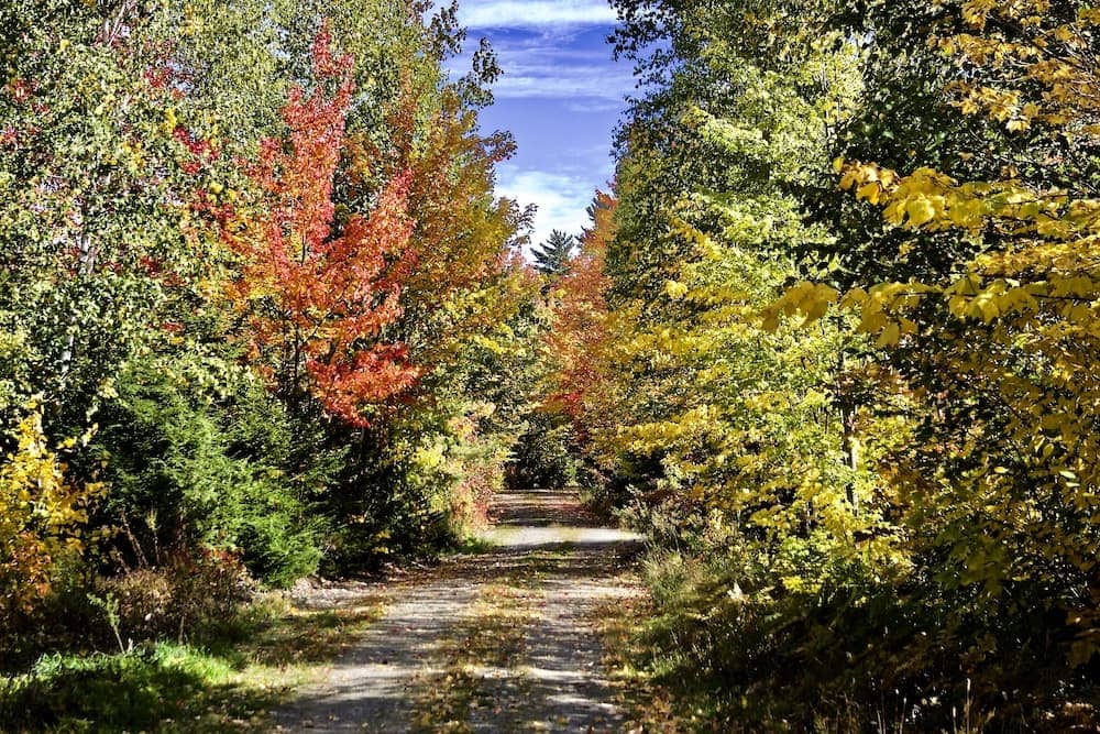 million dollar view road Danforth scenic Maine drives