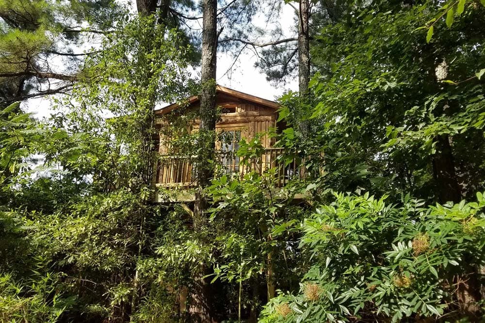 treasure hunt treehouse georgia