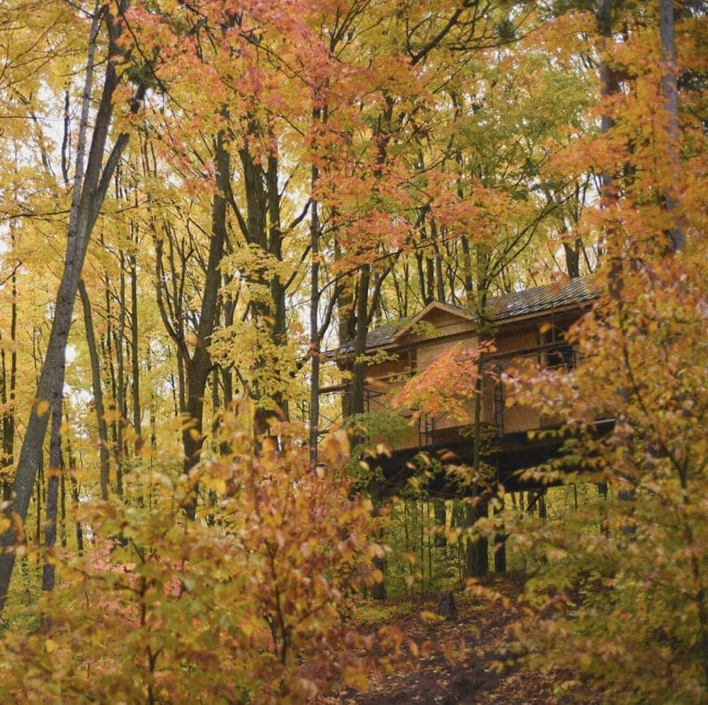 treehouse ridge Michigan