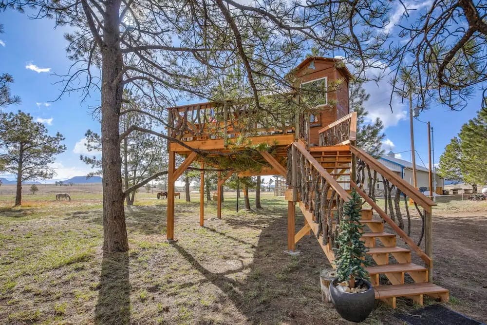 working ranch Colorado treehouse