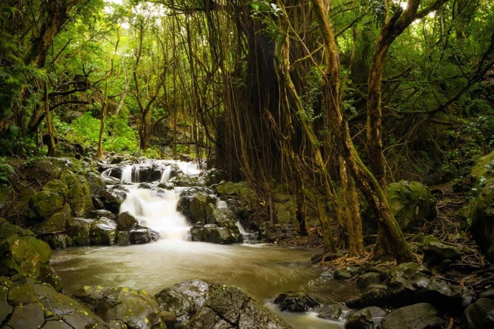 Kapena Falls Oahu