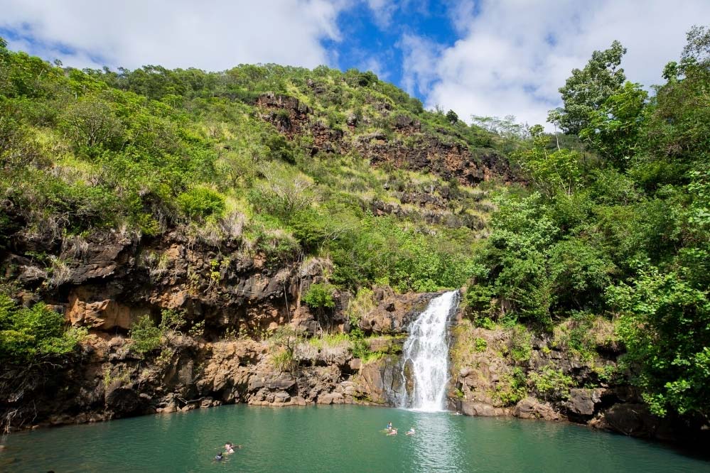 Waimea Falls Oahu