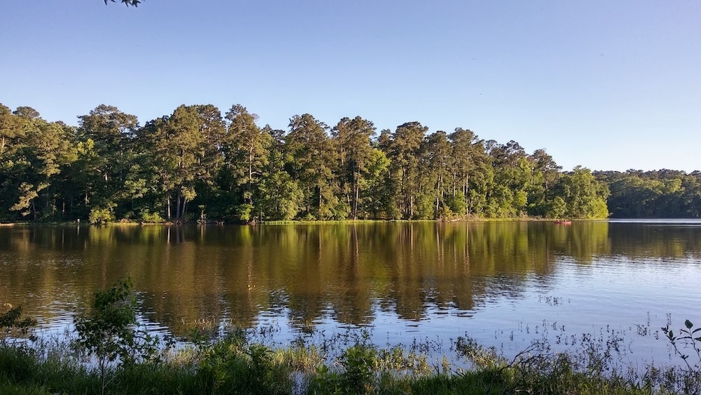 Sam Houston national forest Dallas houston