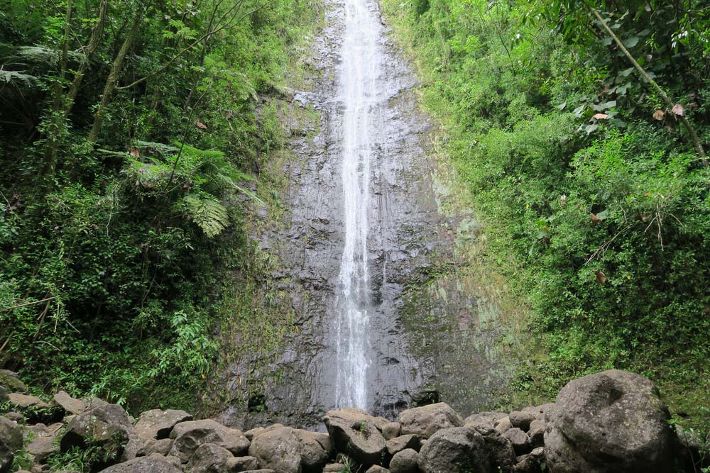 manoa falls oahu