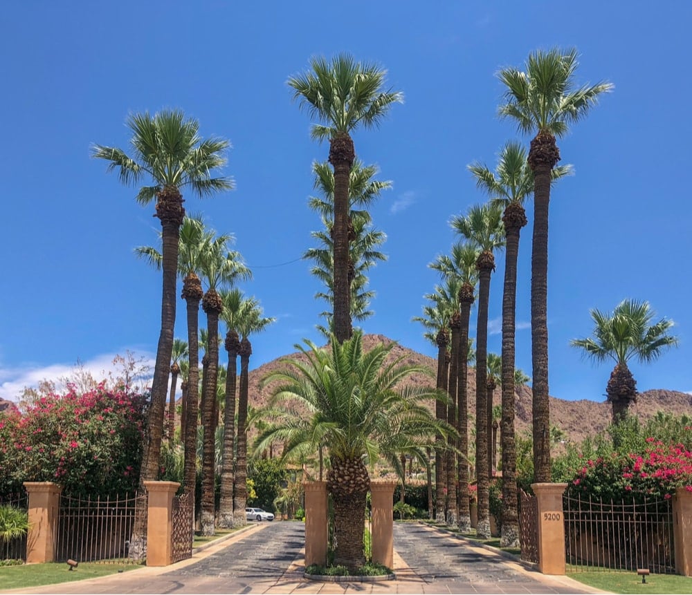 royal palms resort arizona