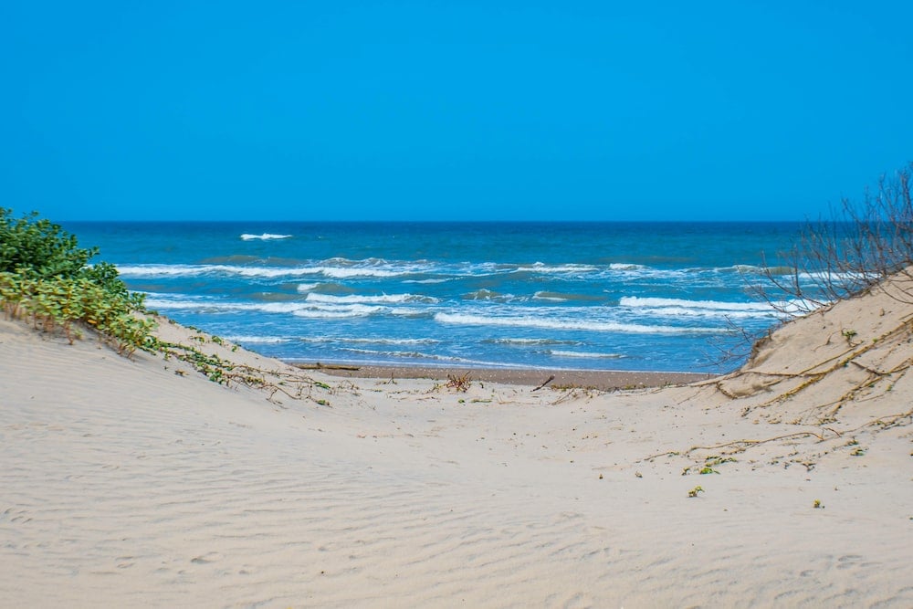 are dogs allowed on beaches in texas